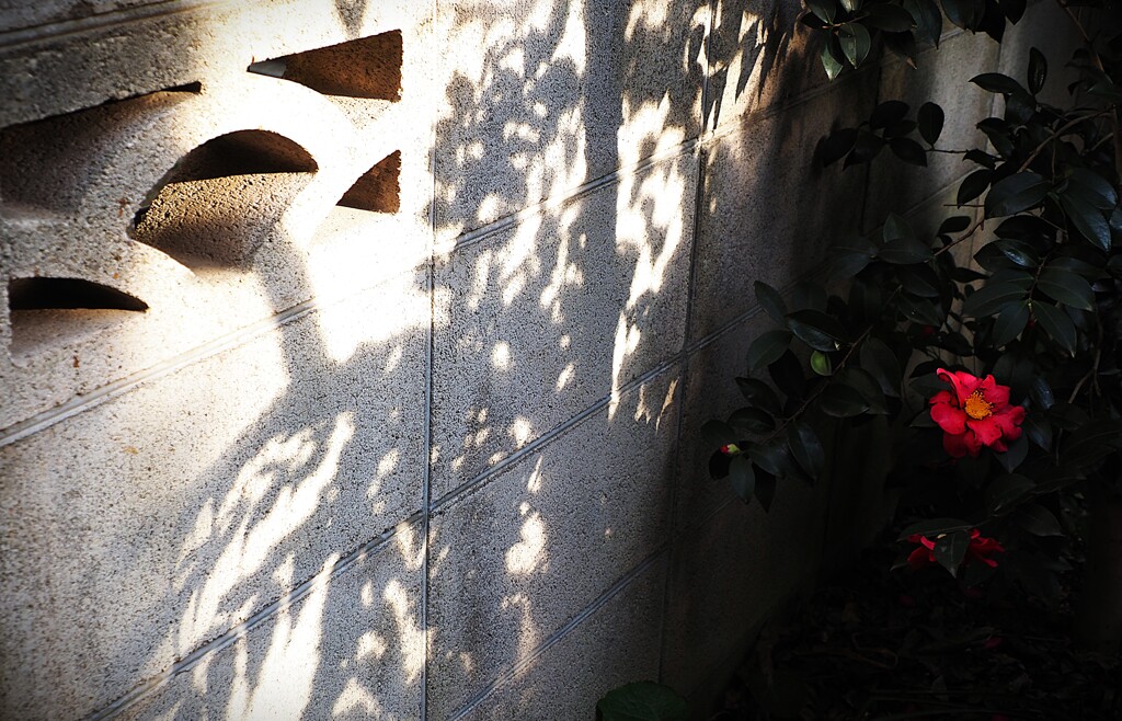 最後の輝き★☆