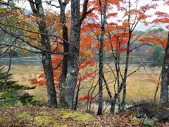 湖畔の秋舞台