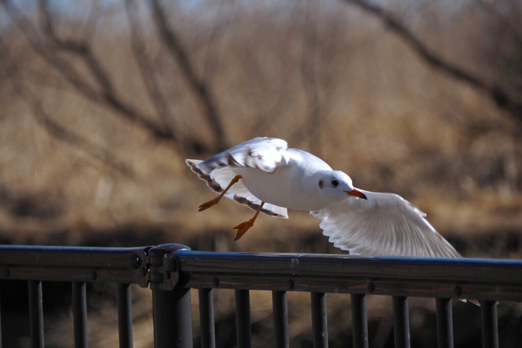 ヤバっ      と。。。