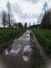雨上がりの公園①