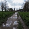 雨上がりの公園①