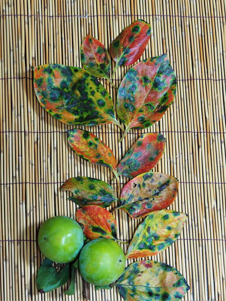 もったいなくて♥