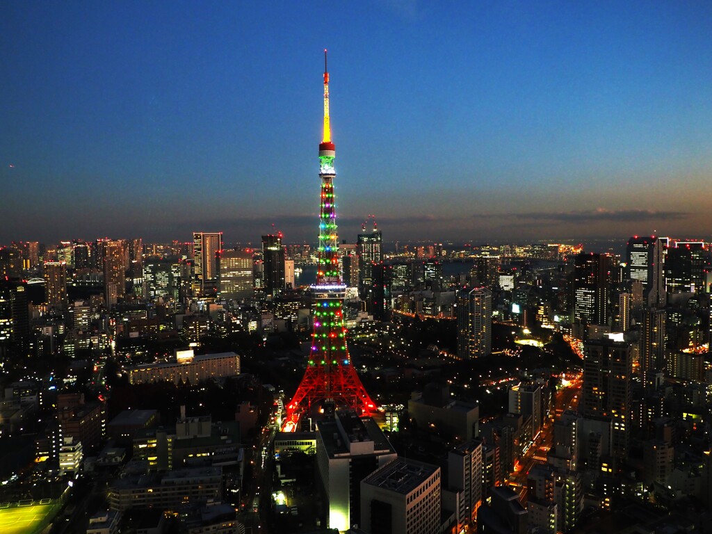 クリスマスカラーの東京タワー