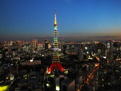 クリスマスカラーの東京タワー
