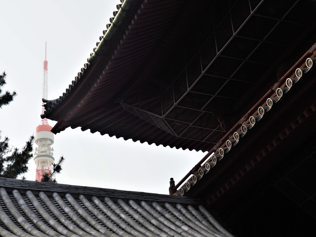 増上寺と東京タワー