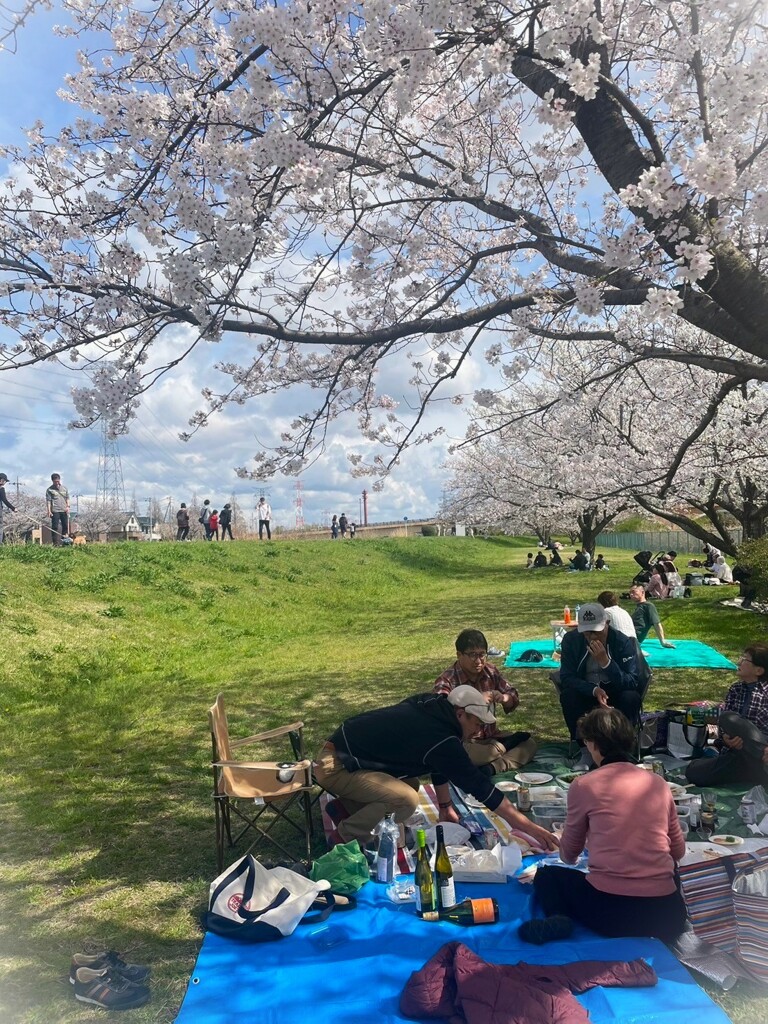 お花見日和②