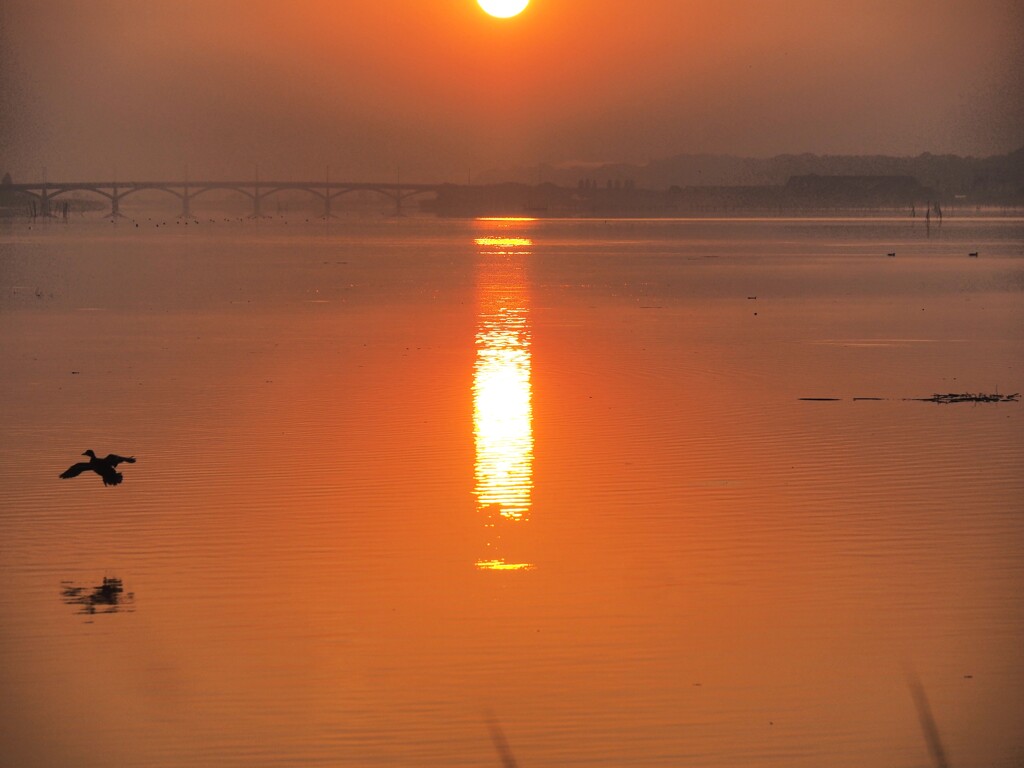 朝陽のぼる