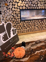 ファイヤー・ウエルカム②