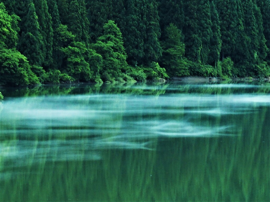 只見川の川霧