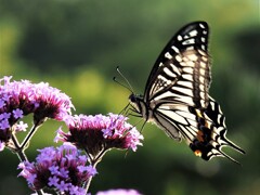 美味しい朝食戴きました～～♪