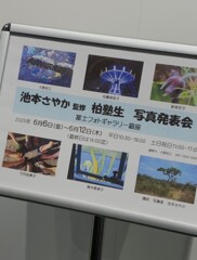 写真展・ホームページが出来ました★☆