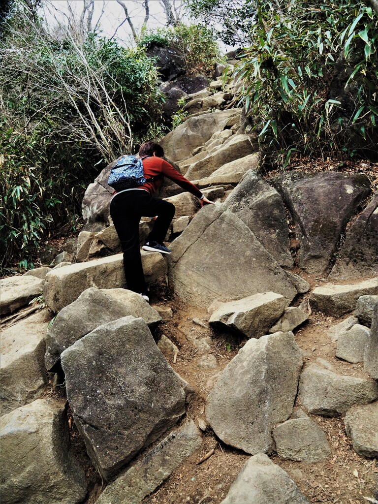 耐寒登山