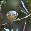 冬の公園②