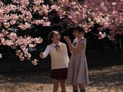 桜も笑顔も満開☆
