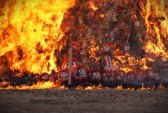 役目を果たして。。