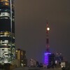 東京タワーとコラボレーション