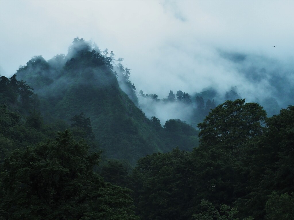 六十里越雪わり街道