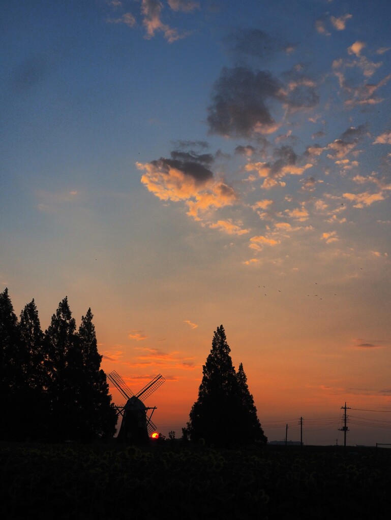 朝陽、、、昇る