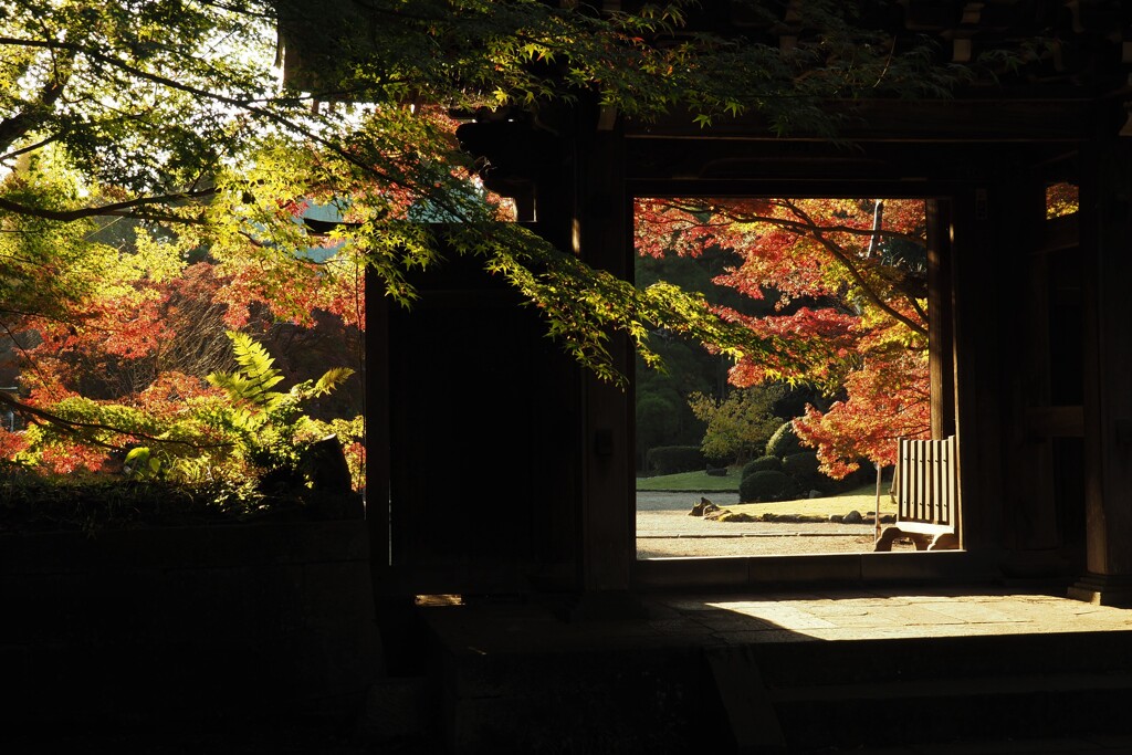 東漸寺の紅葉