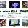 写真展