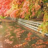 雨の永源寺へ