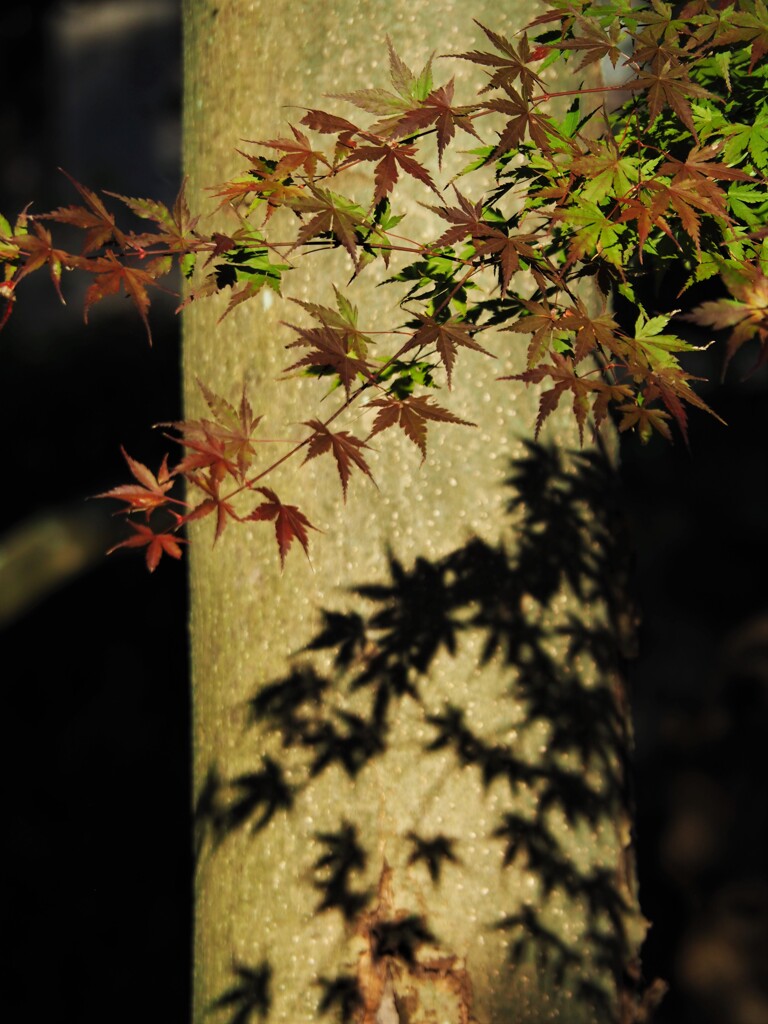 縦構図は難しい・・・②