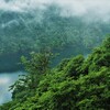 田子倉湖の朝霧