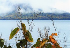 魅せられた秋色③