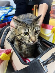 新年会☆    に参加するも、、、