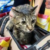 新年会☆    に参加するも、、、