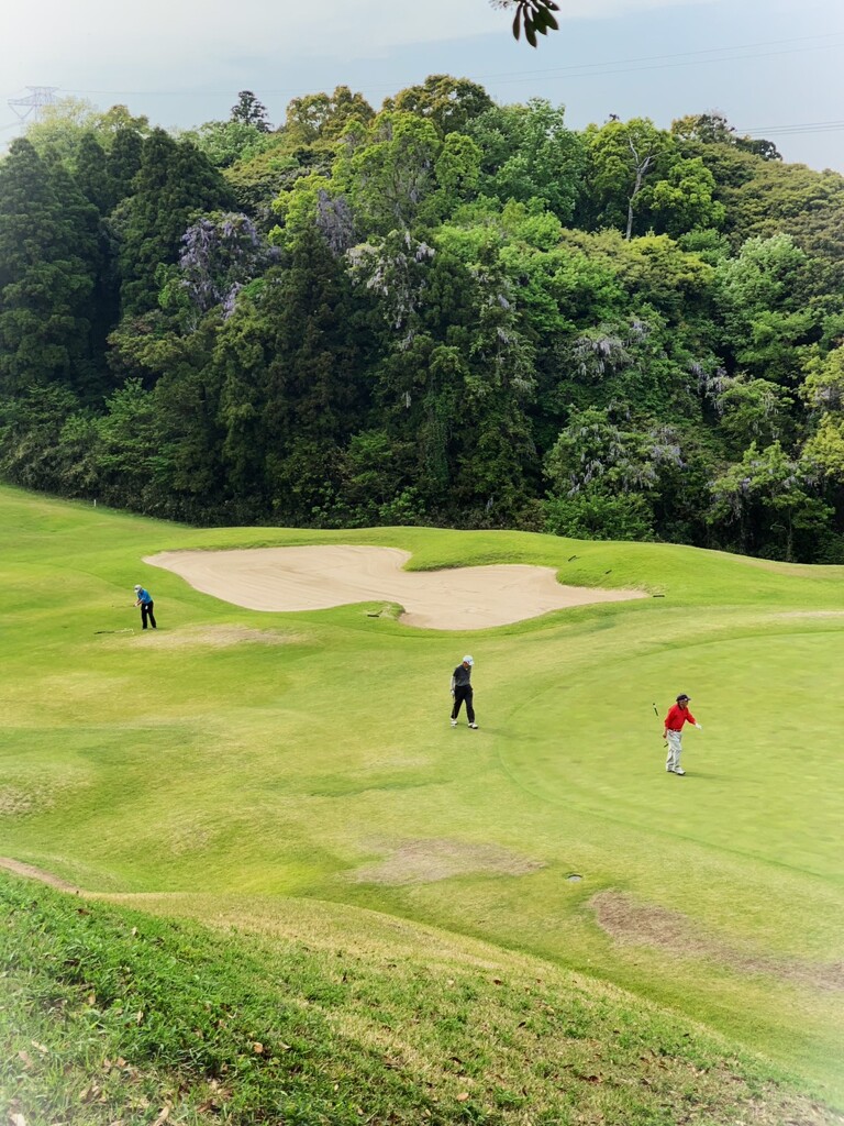 山藤に見とれながら。。。