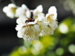 満面の笑顔