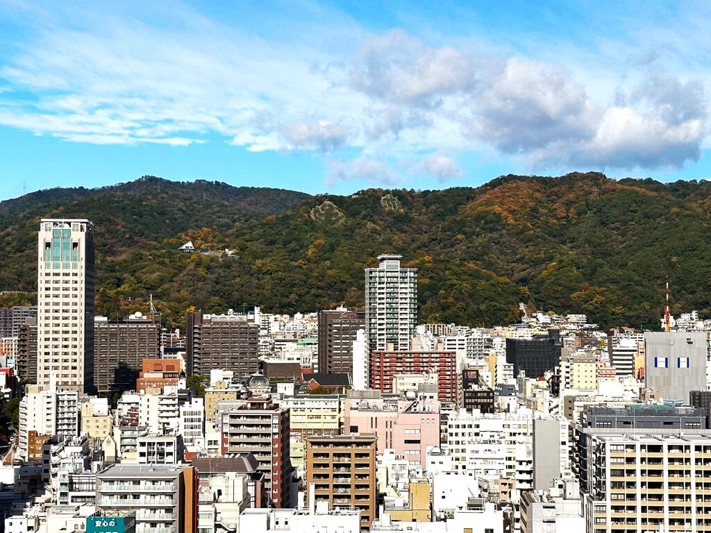 阪神大震災は今日で29年