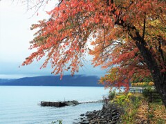 支笏湖の秋色