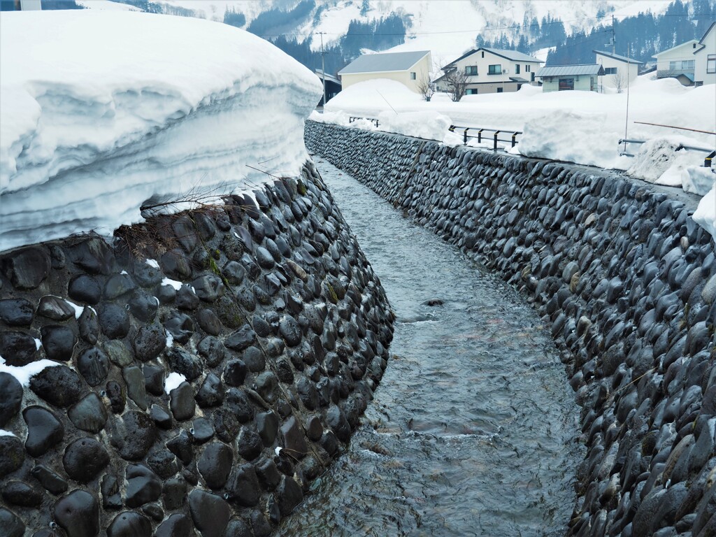 豪雪地帯の早春