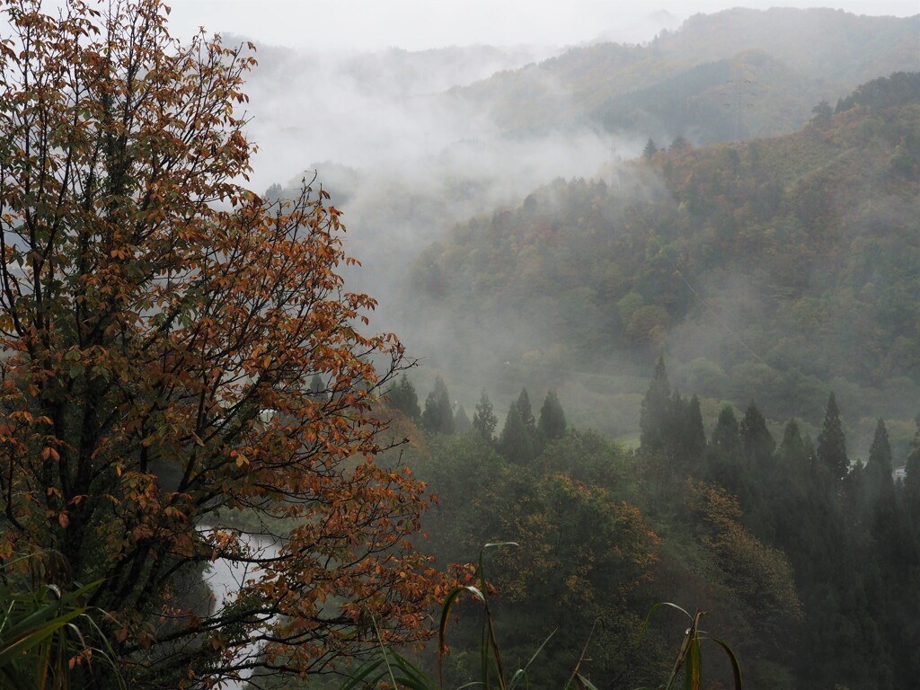 雨あがる