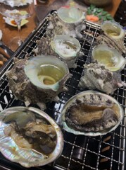 人気者のサザエさん