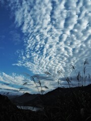 秋の雲もよう♪