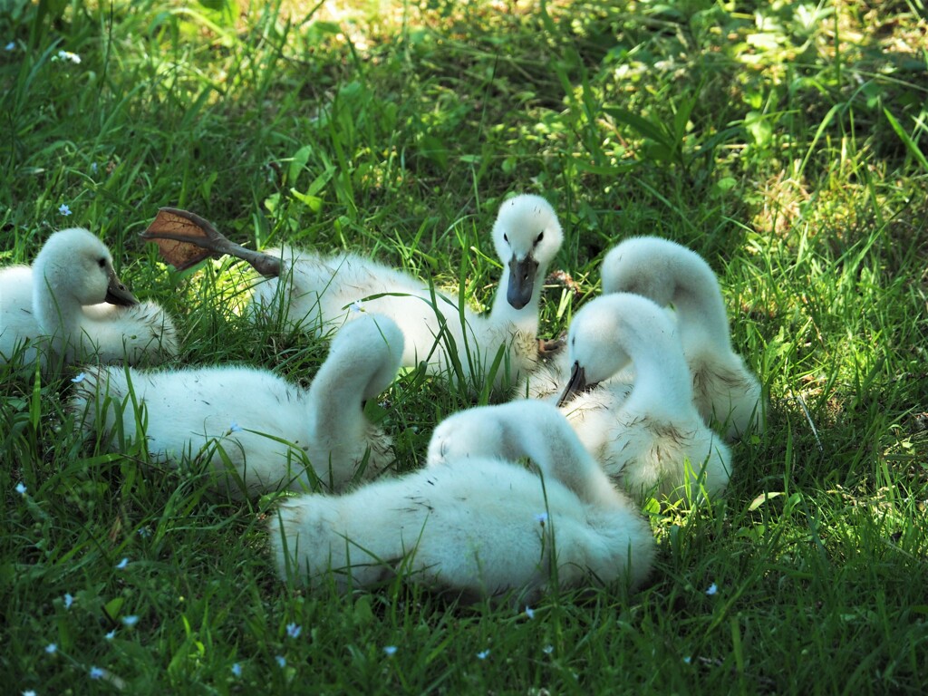 名シーン、見っけ！