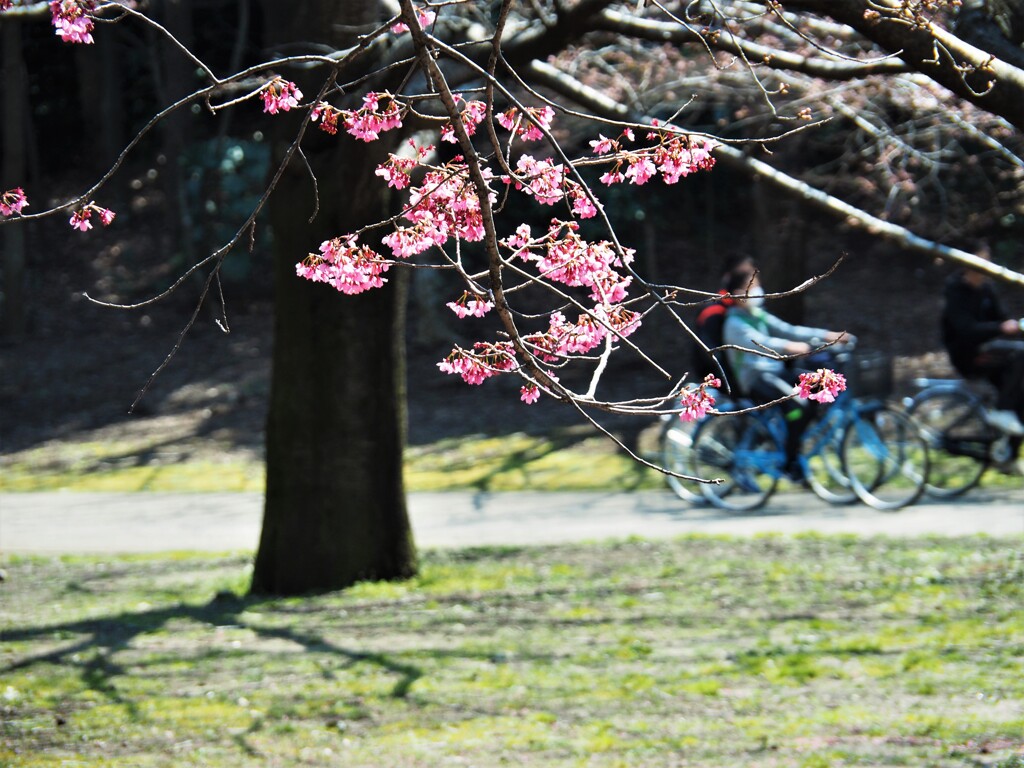 僕たちの春休み