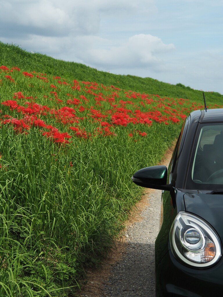 愛車とコラボ☆☆