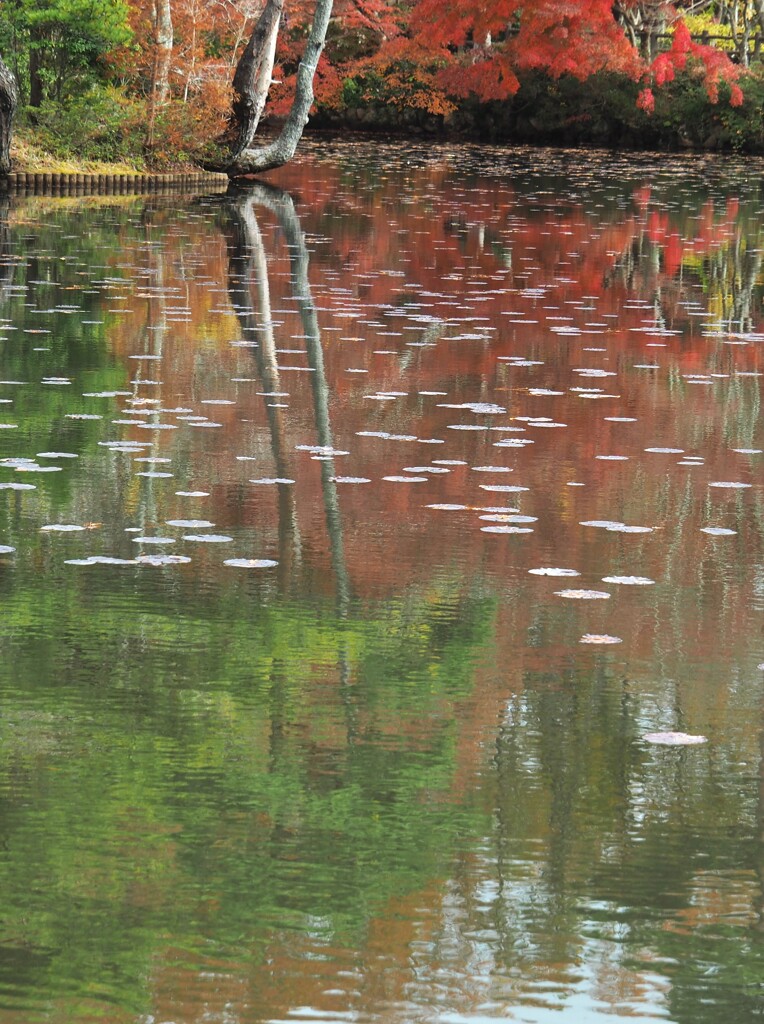 最後の秋