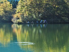何が釣れるんですか？