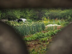農家の庭先
