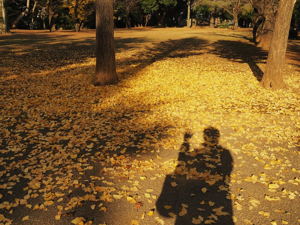 帰り道