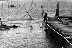 お父さんの指定席②