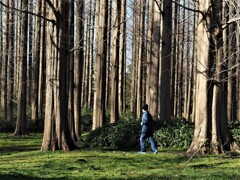 冬の公園（３）