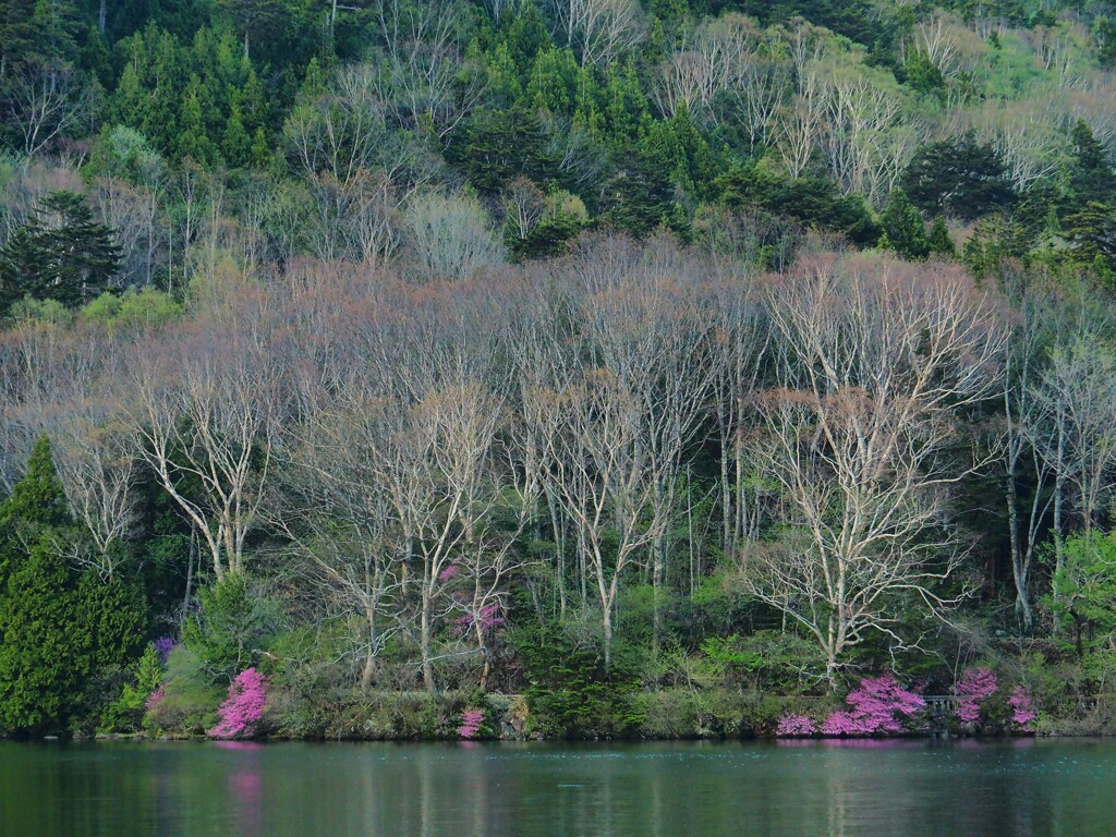 森と湖に抱かれて②