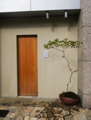 回らないお寿司屋さん