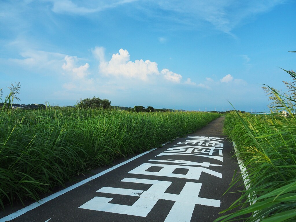 初秋の風をきって～